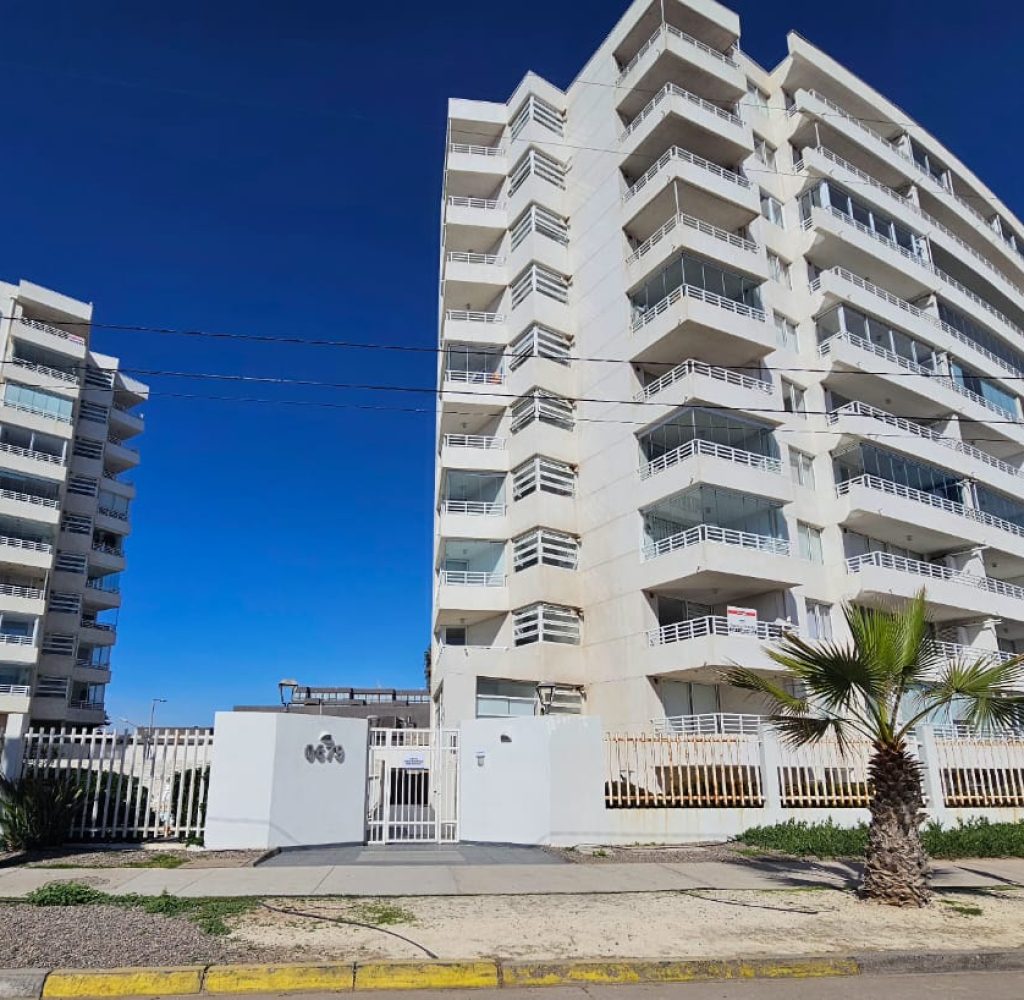 WhatsApp Image 2025-08-11 at 11.50.27 AM