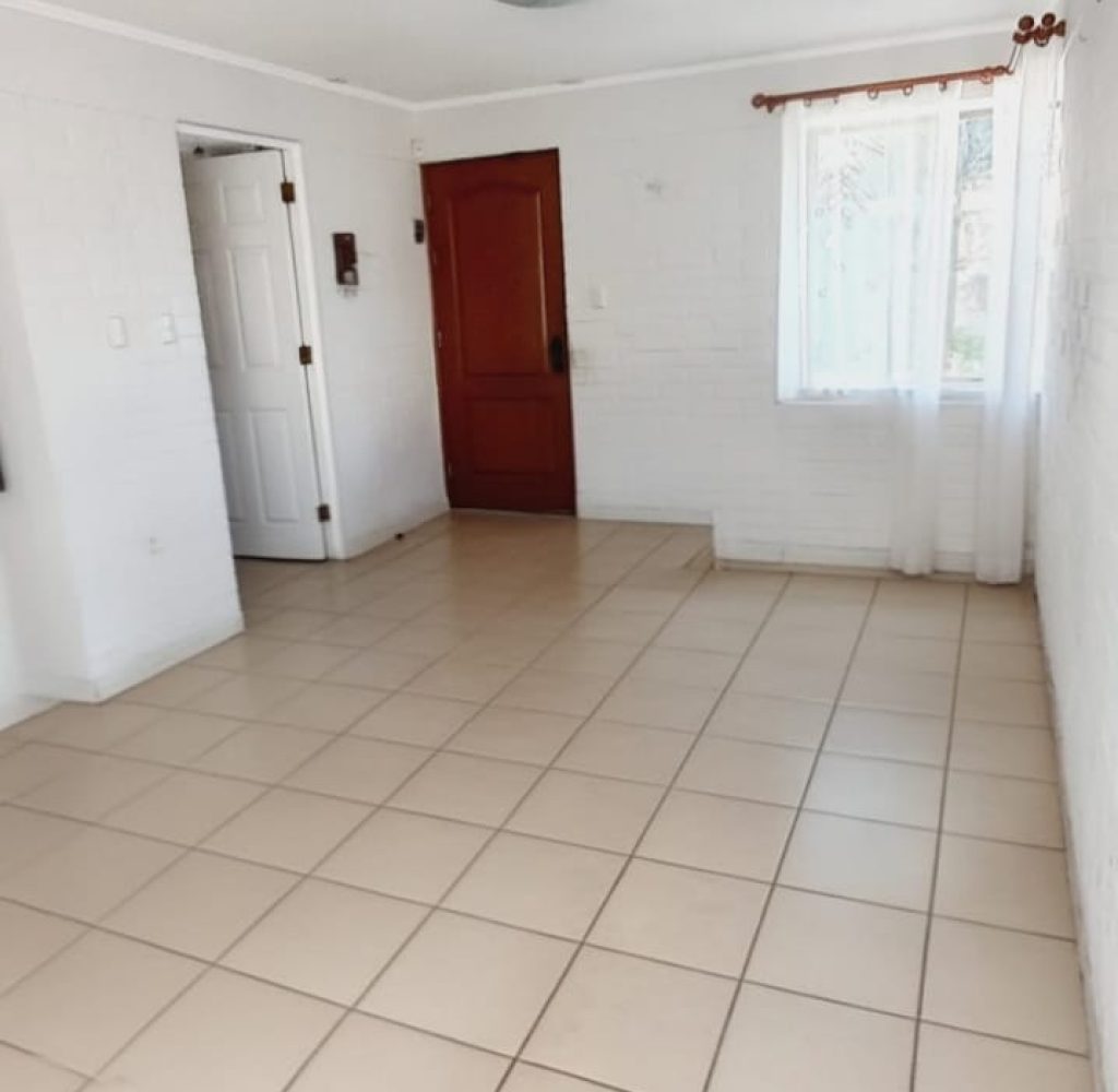 WhatsApp Image 2026-02-19 at 19.19.23