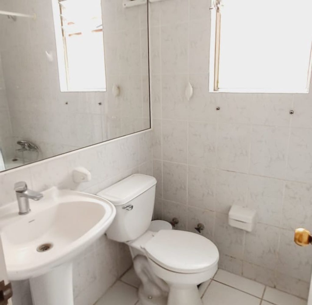 WhatsApp Image 2026-02-19 at 19.19.24 (3)