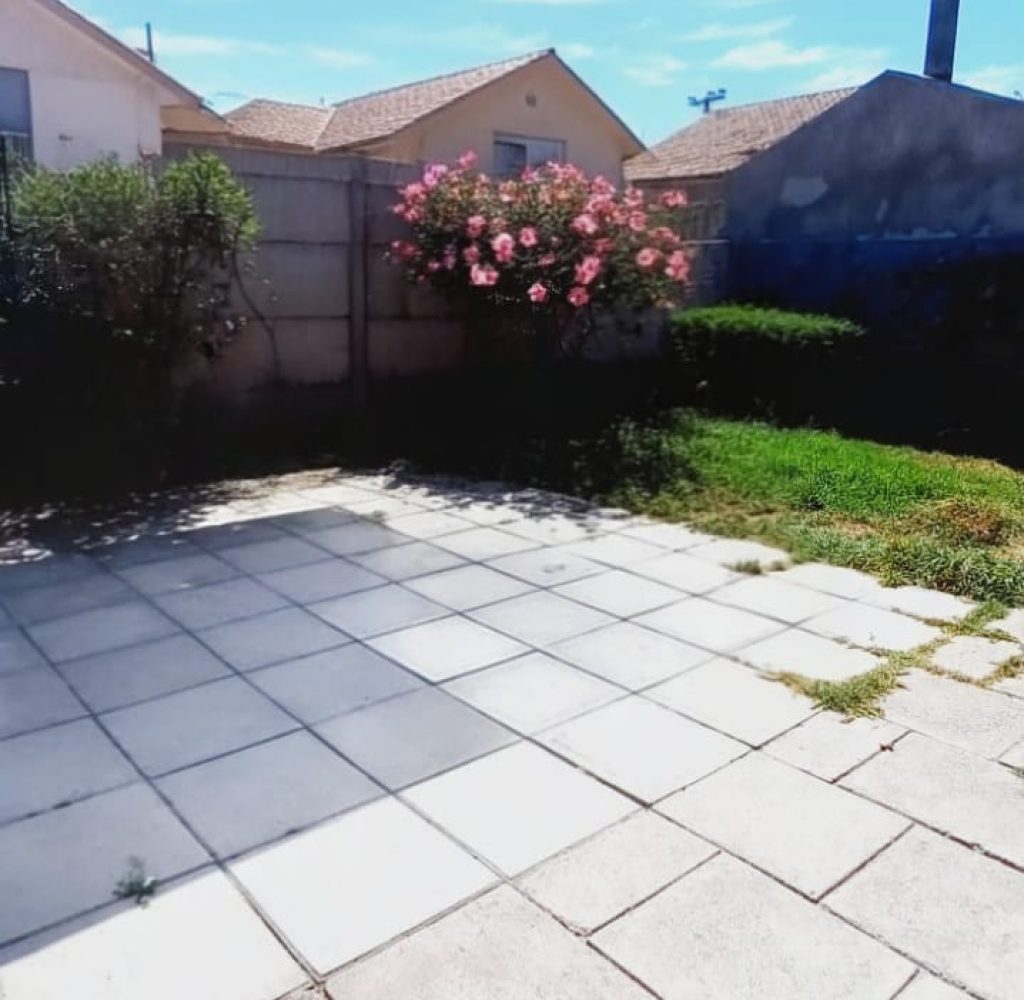 WhatsApp Image 2026-02-19 at 19.19.25 (2)