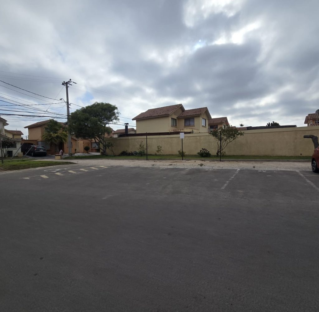 WhatsApp Image 2026-02-19 at 19.42.59 (1)