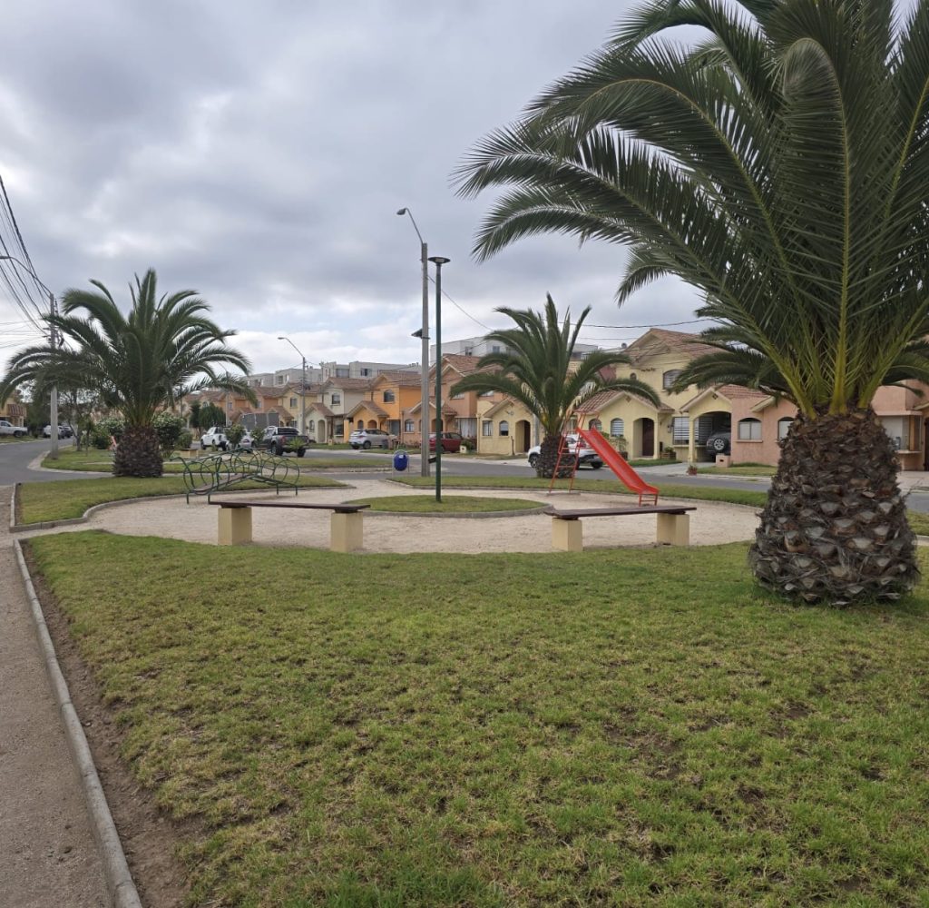 WhatsApp Image 2026-02-19 at 19.42.59