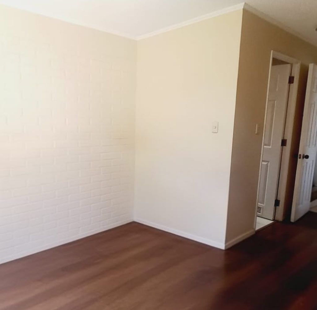 WhatsApp Image 2026-02-19 at 19.50.13