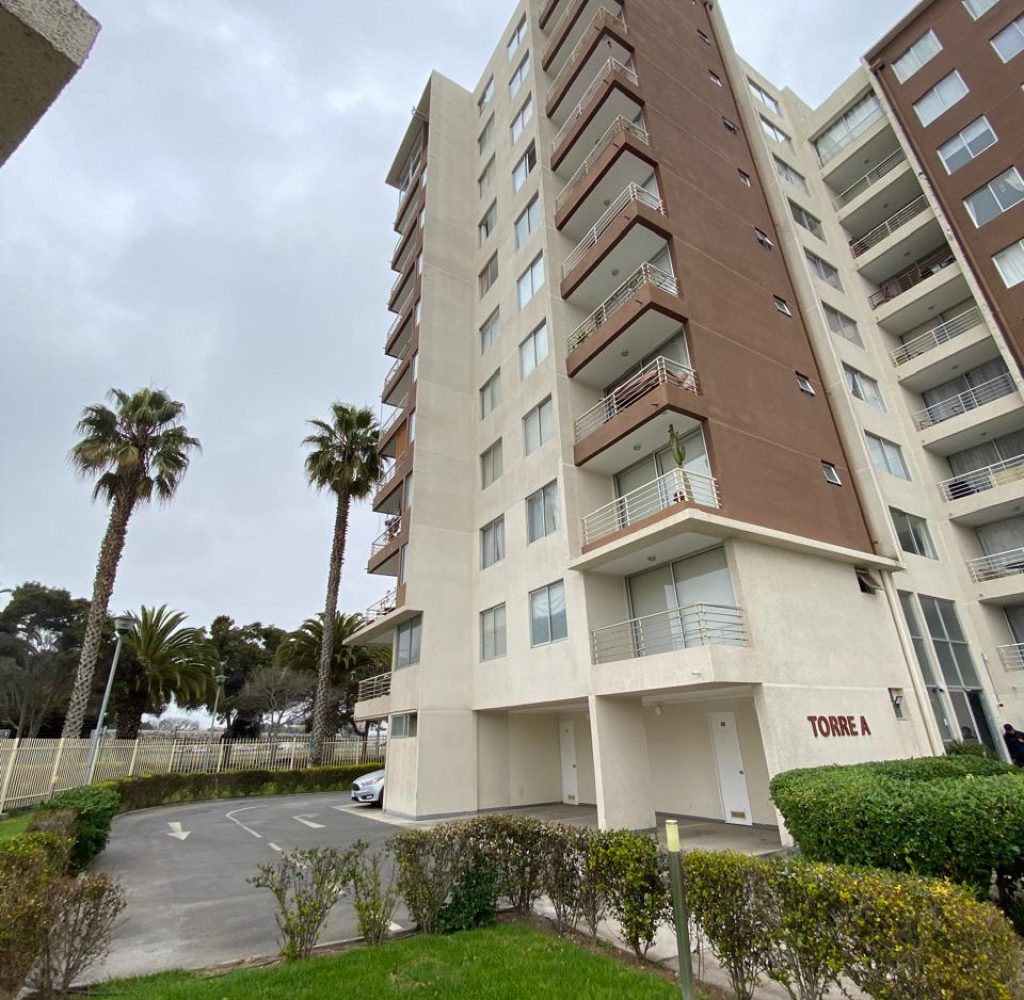 WhatsApp Image 2026-04-10 at 16.37.17 (13)